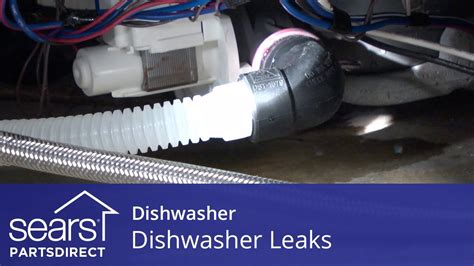 How to Find & Fix Dishwasher Leaks 